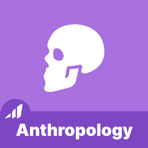 Anthropology