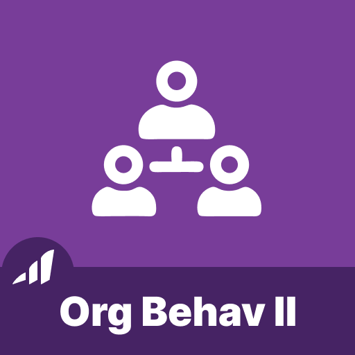 Organizational Behavior II