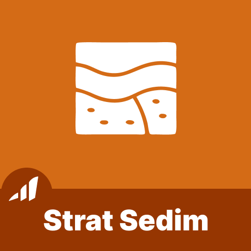 Stratigraphy and Sedimentology