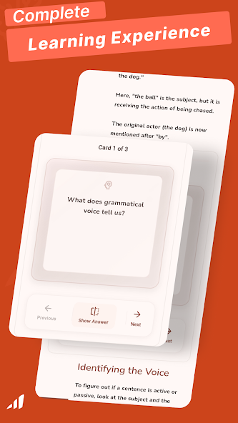 Active Voice Passive Voice screenshot