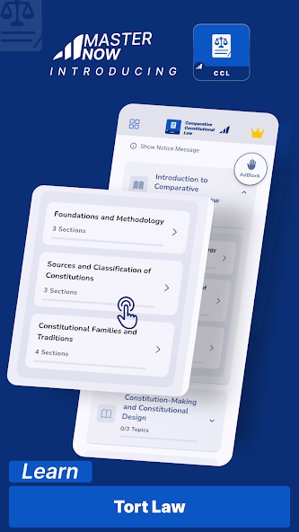 Comparative Constitutional Law screenshot