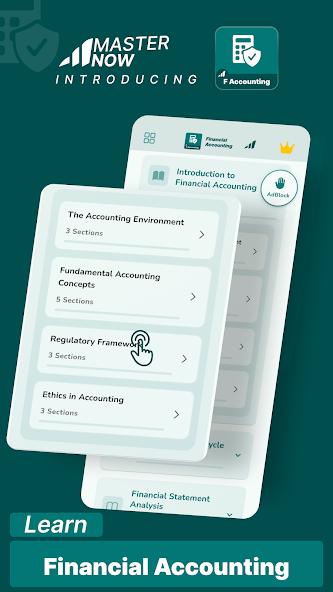 Financial Accounting screenshot