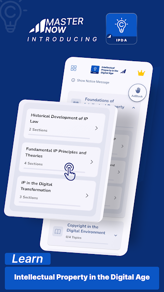 Intellectual Property in the Digital Age screenshot