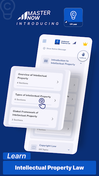 Intellectual Property Law screenshot